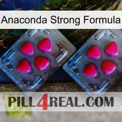 Anaconda Strong Formula 14